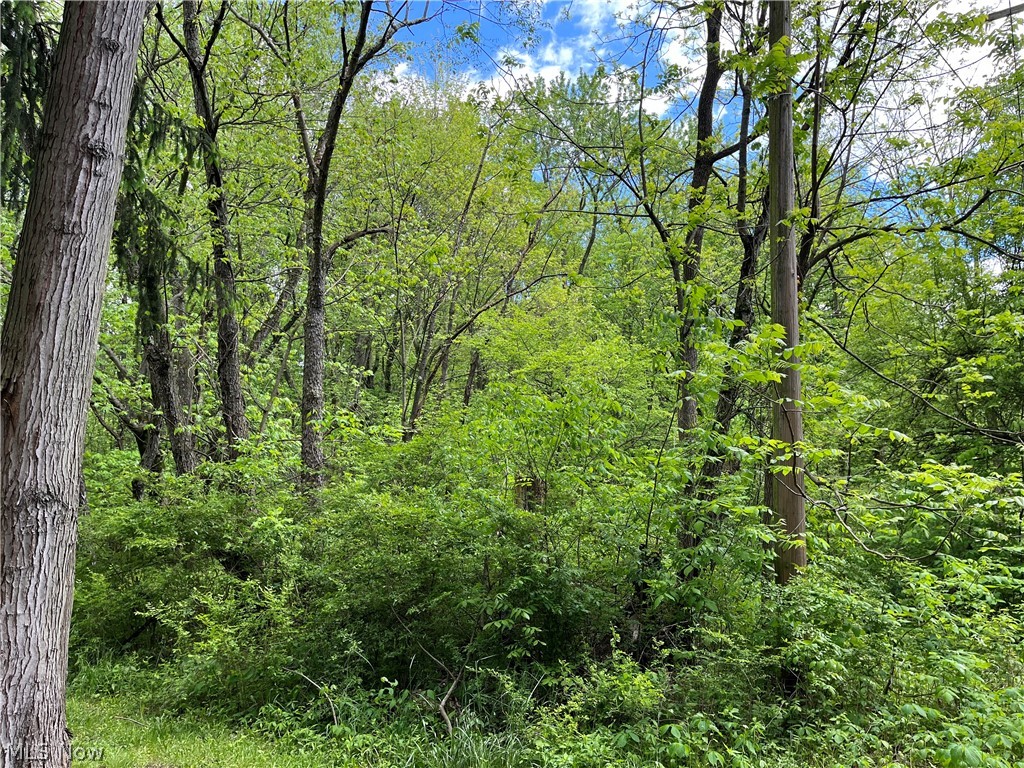 Lot 141,142,143 Maple Street