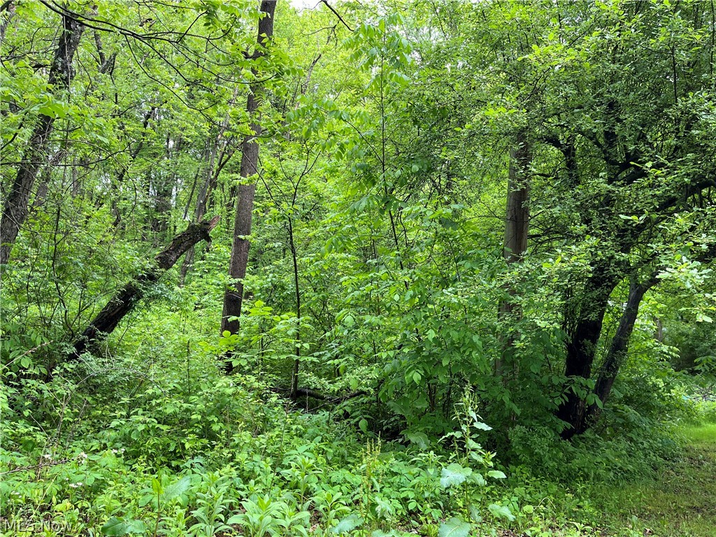 Lot 141,142,143 Maple Street