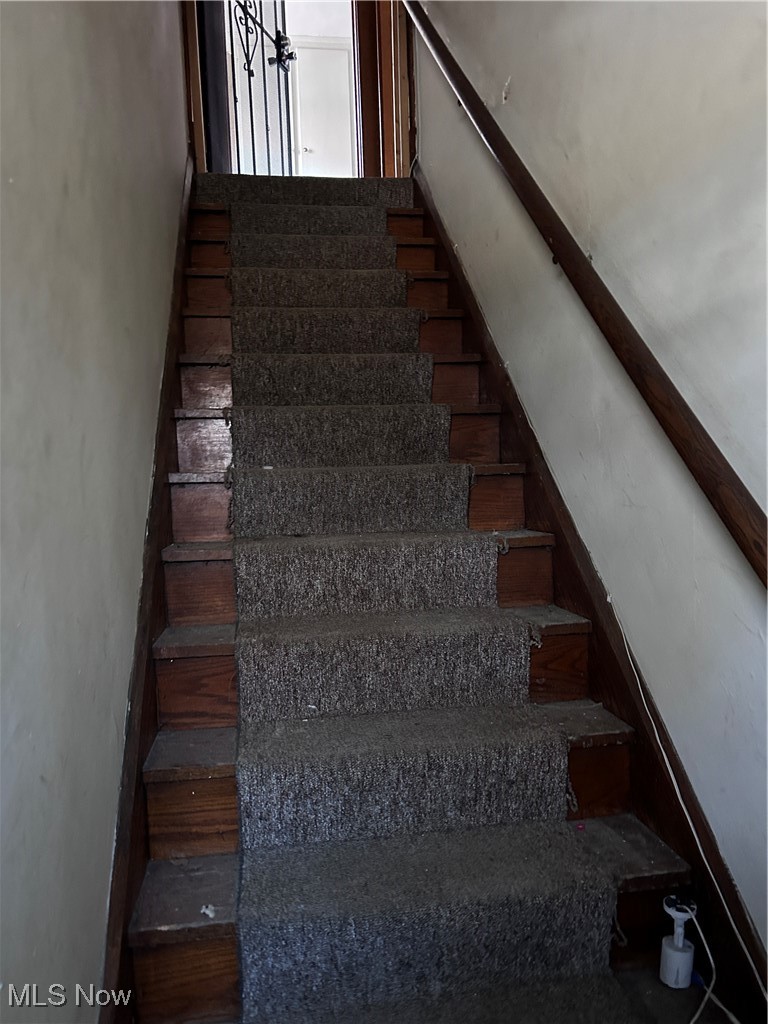 81 Hilton Avenue