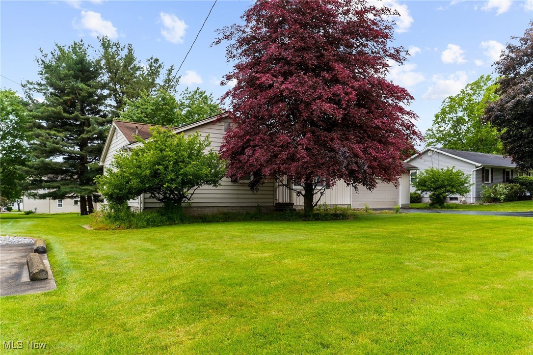 1295 Shields Road