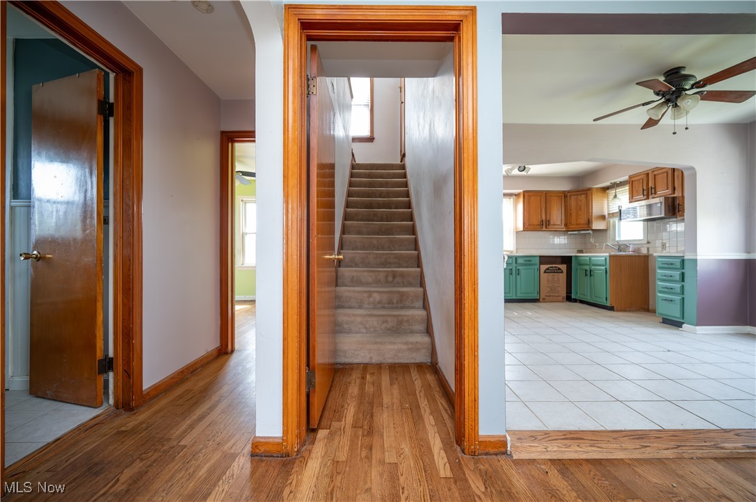 135 Renee Drive