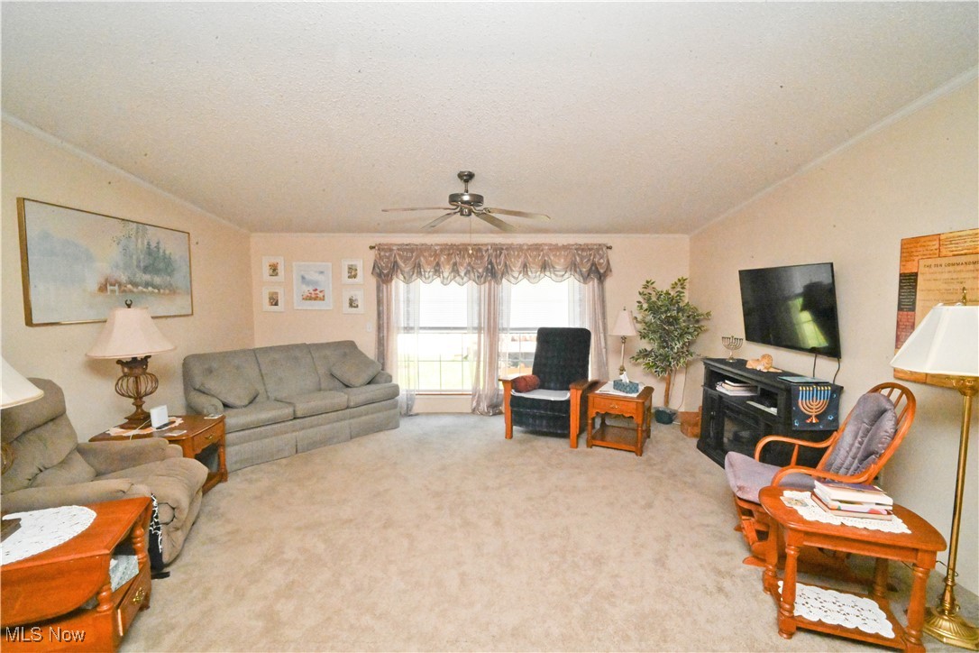 25 Dogwood Drive