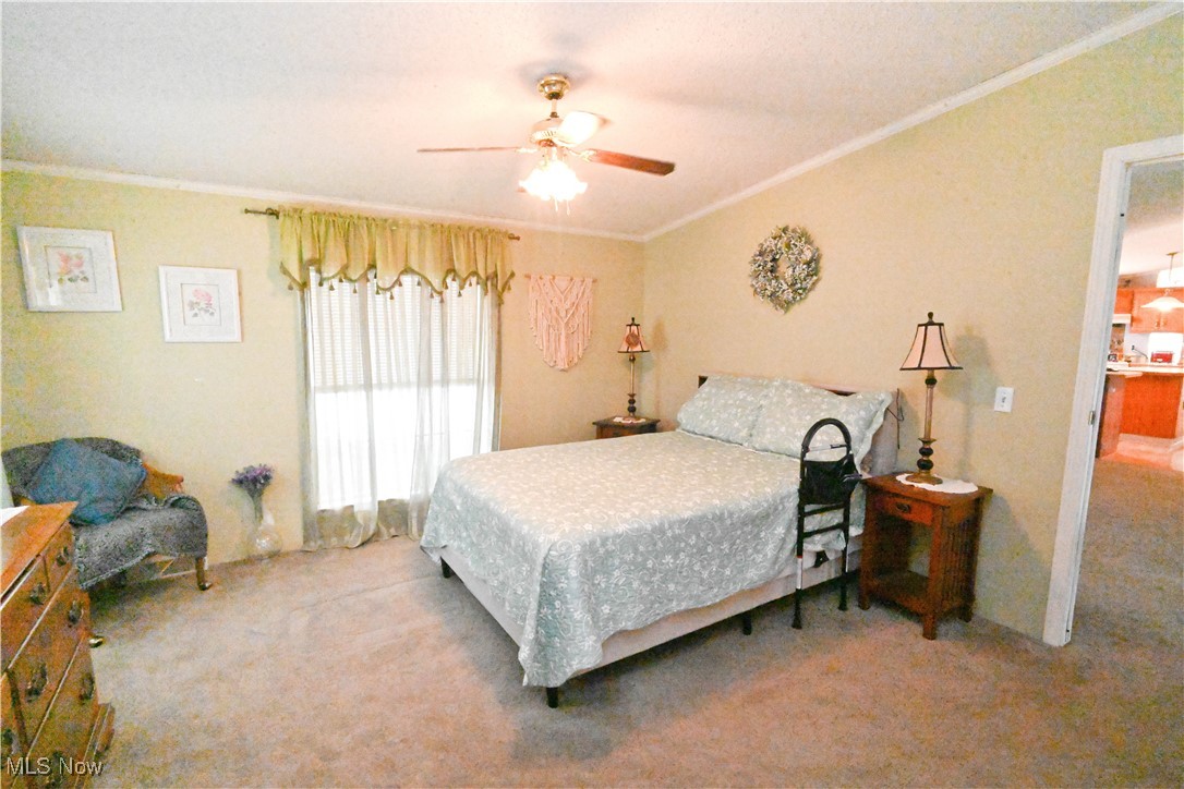 25 Dogwood Drive