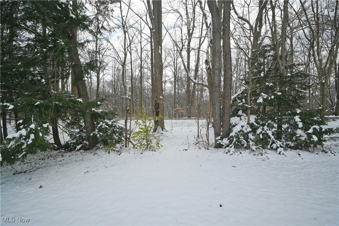 85 Lake Shore Drive