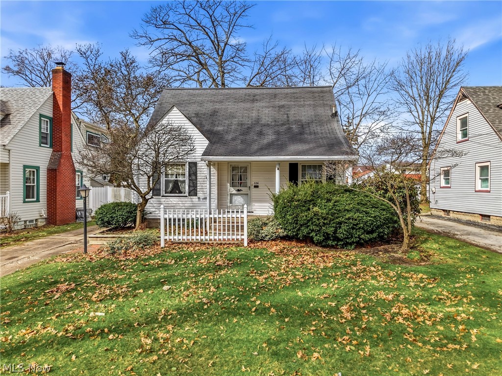 336 Willard Avenue SE