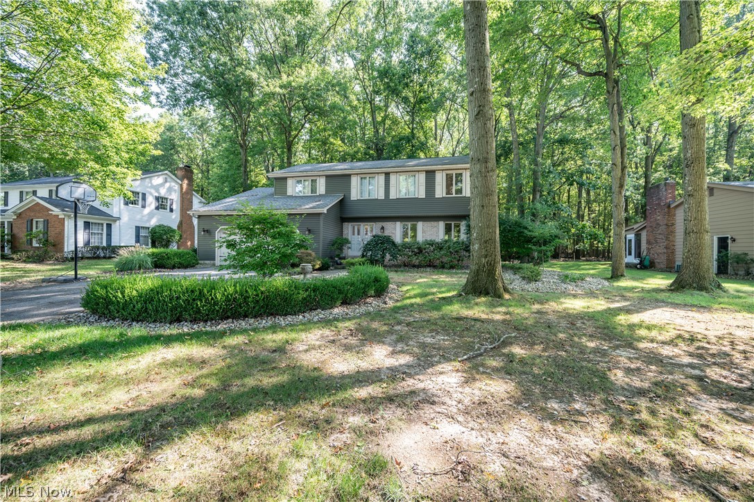 7733 Silver Fox Drive