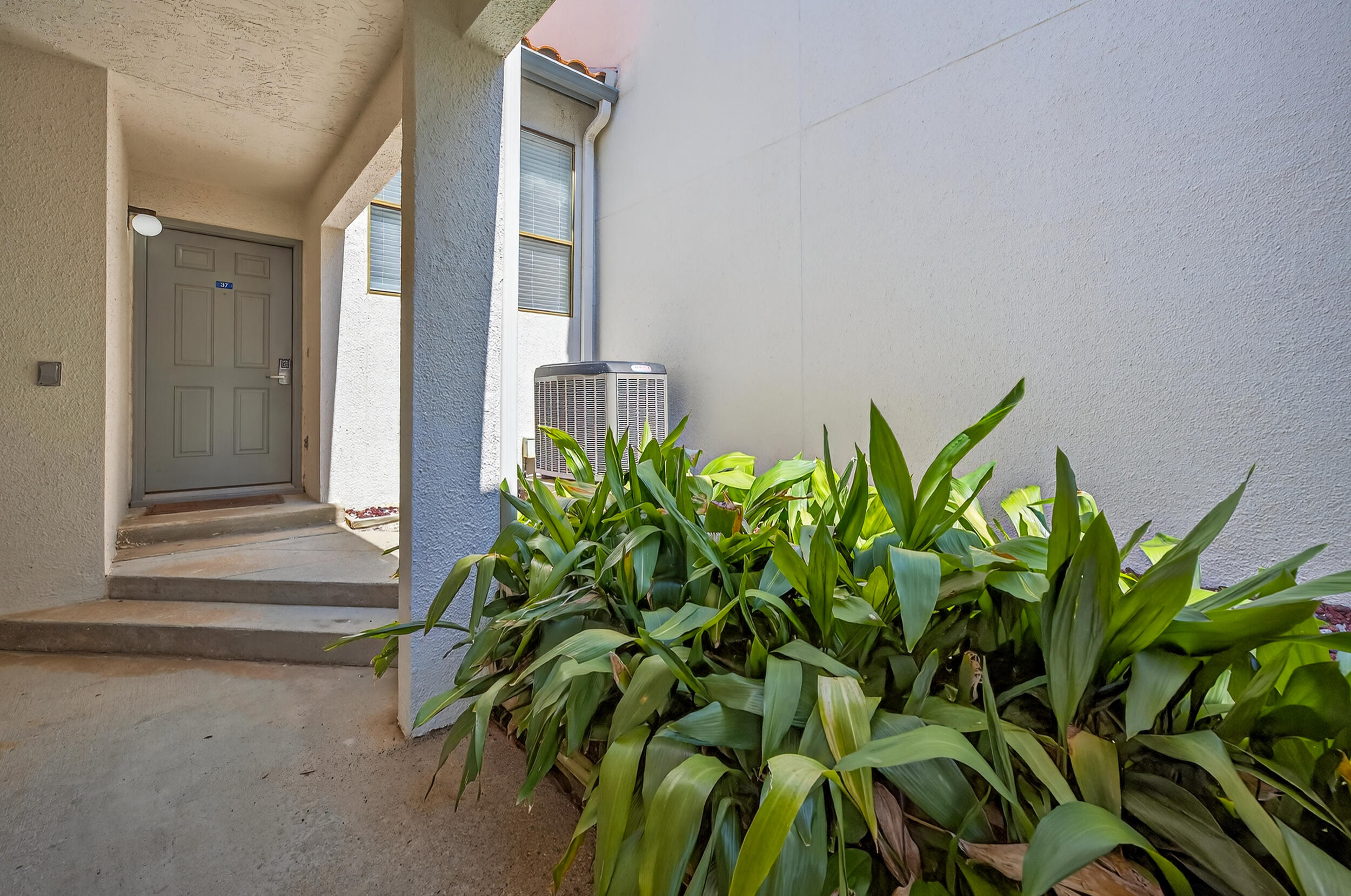 37 Forest Hills Lane #37B