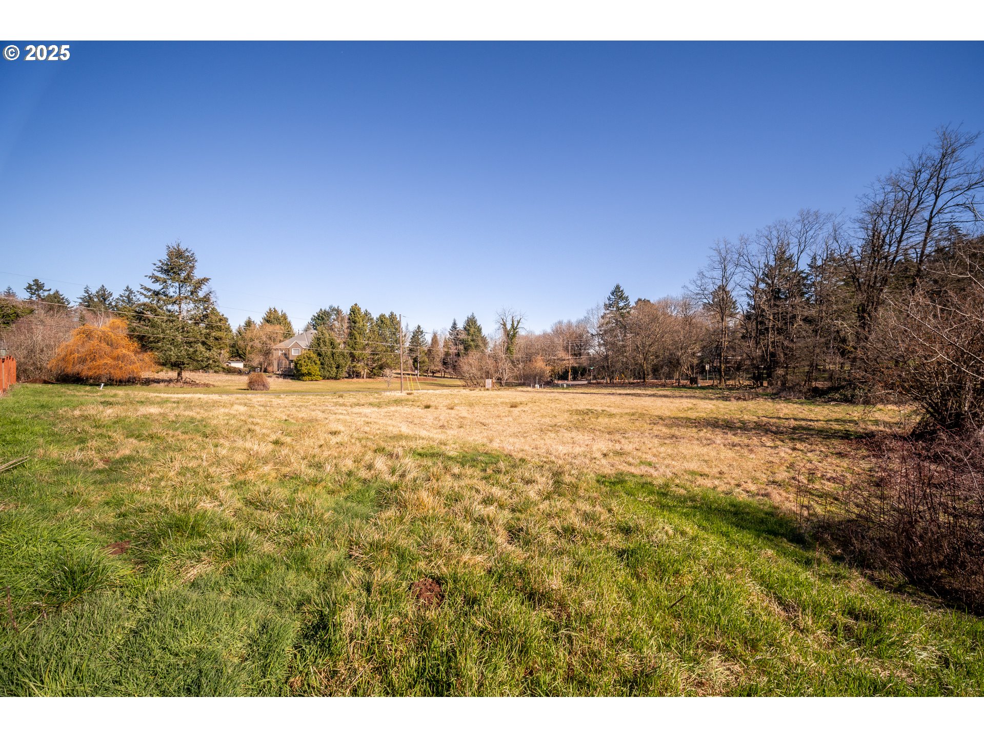 12395 CLARA LN