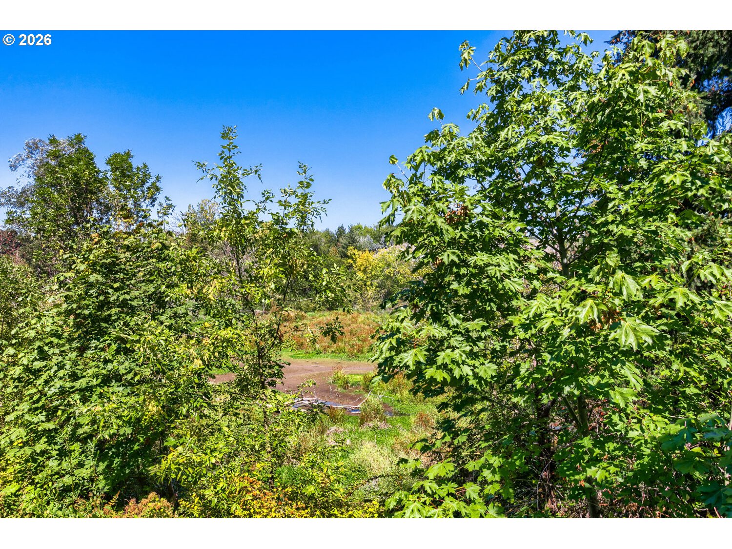 15411 NW DOMINION DR