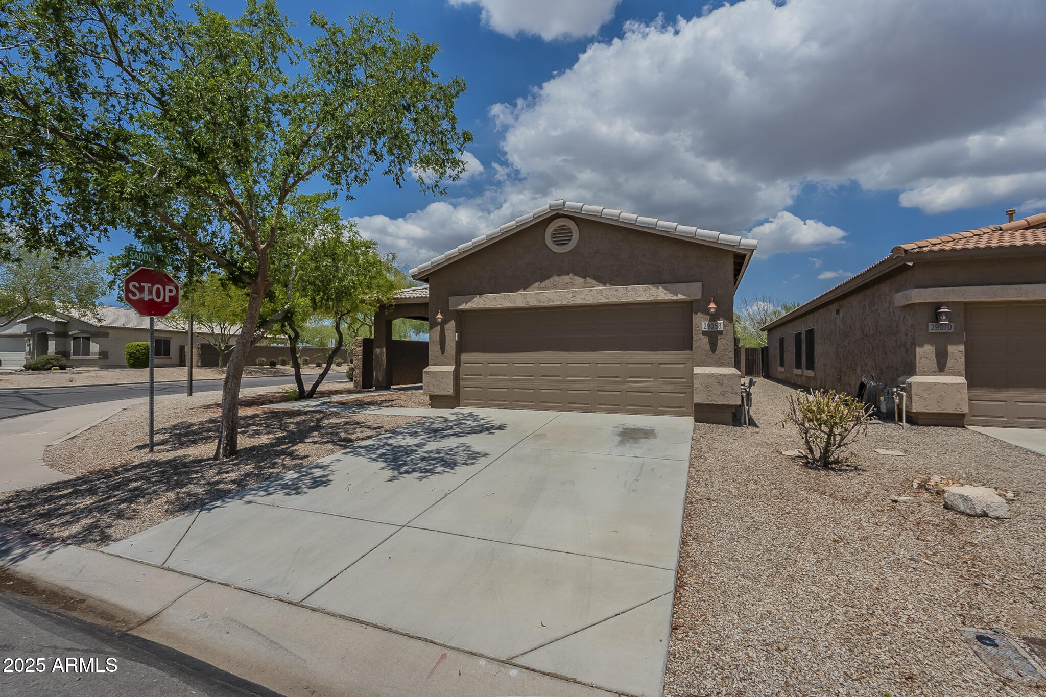 29058 N CACTUS Circle