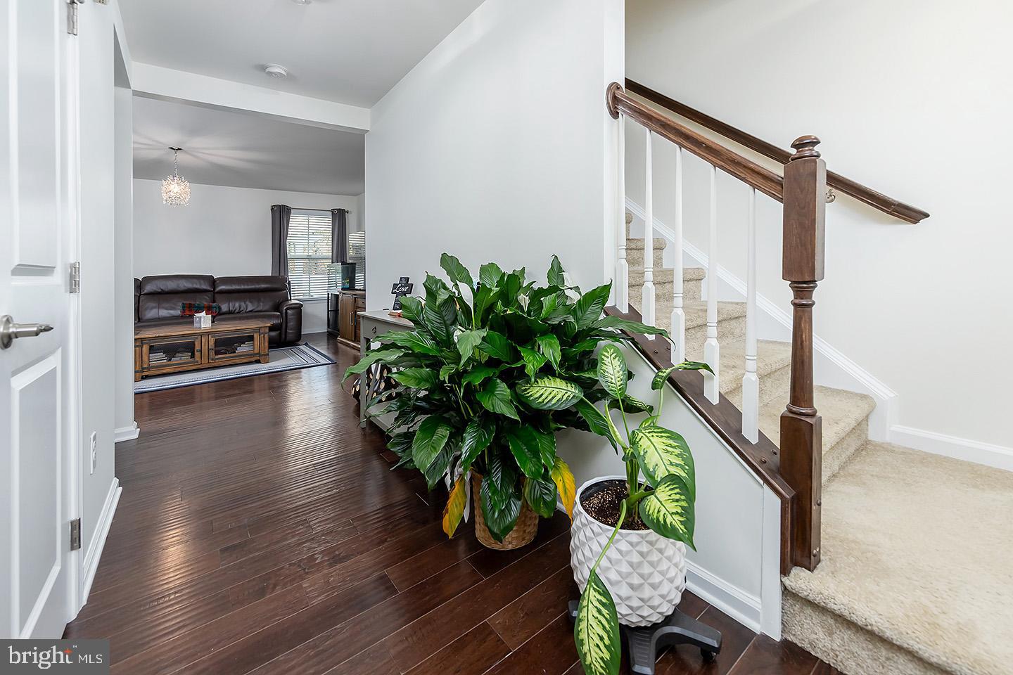 419 SHORT HILLS DRIVE