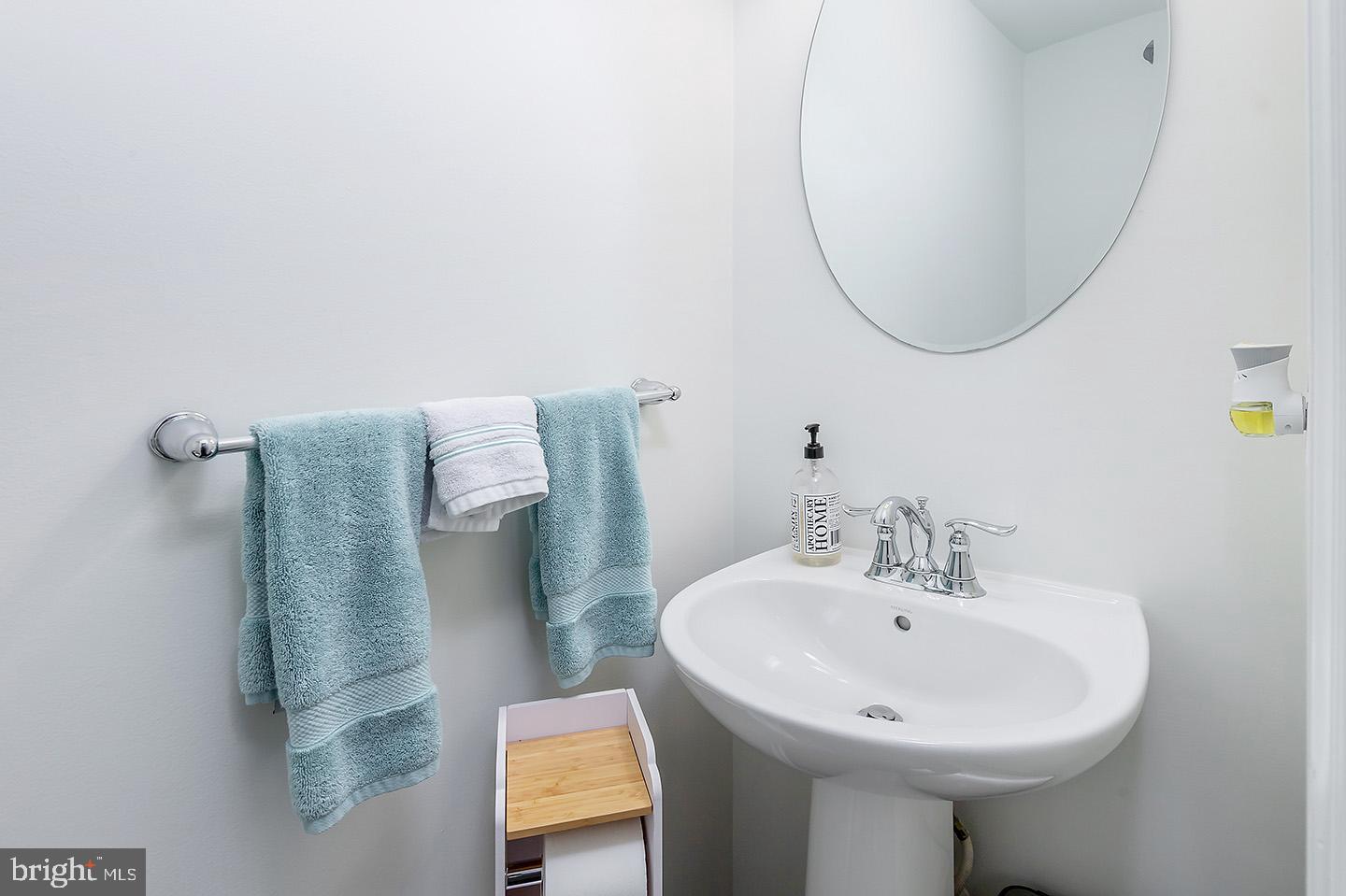 419 SHORT HILLS DRIVE