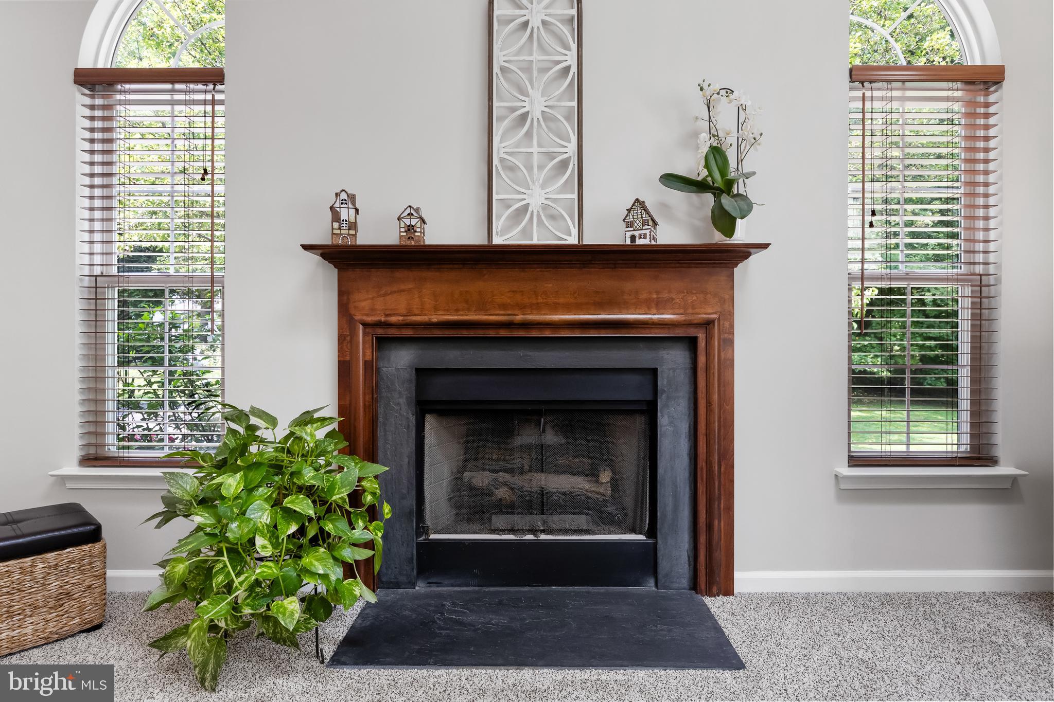 113 HENDRICKSON COURT