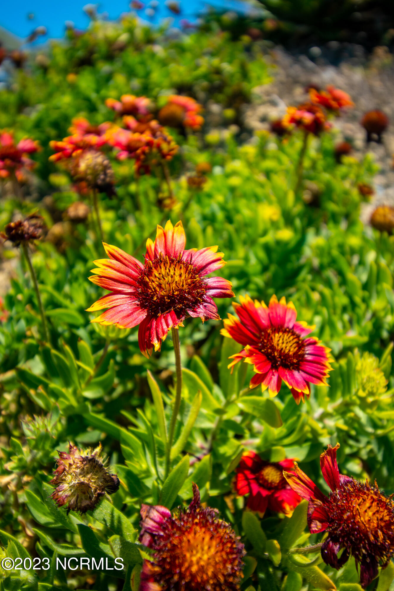 1000 Caswell Beach Road, Apt 1205