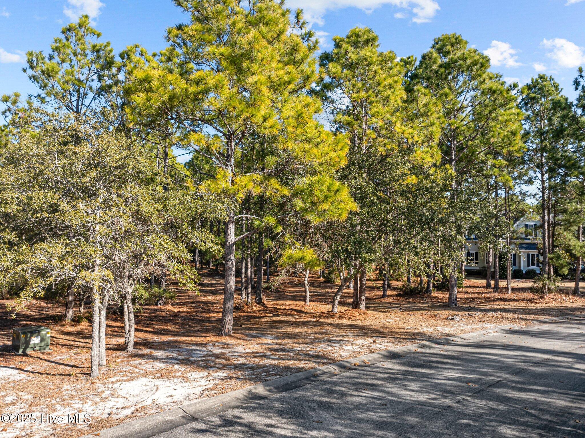 589 Barbosa Place SE