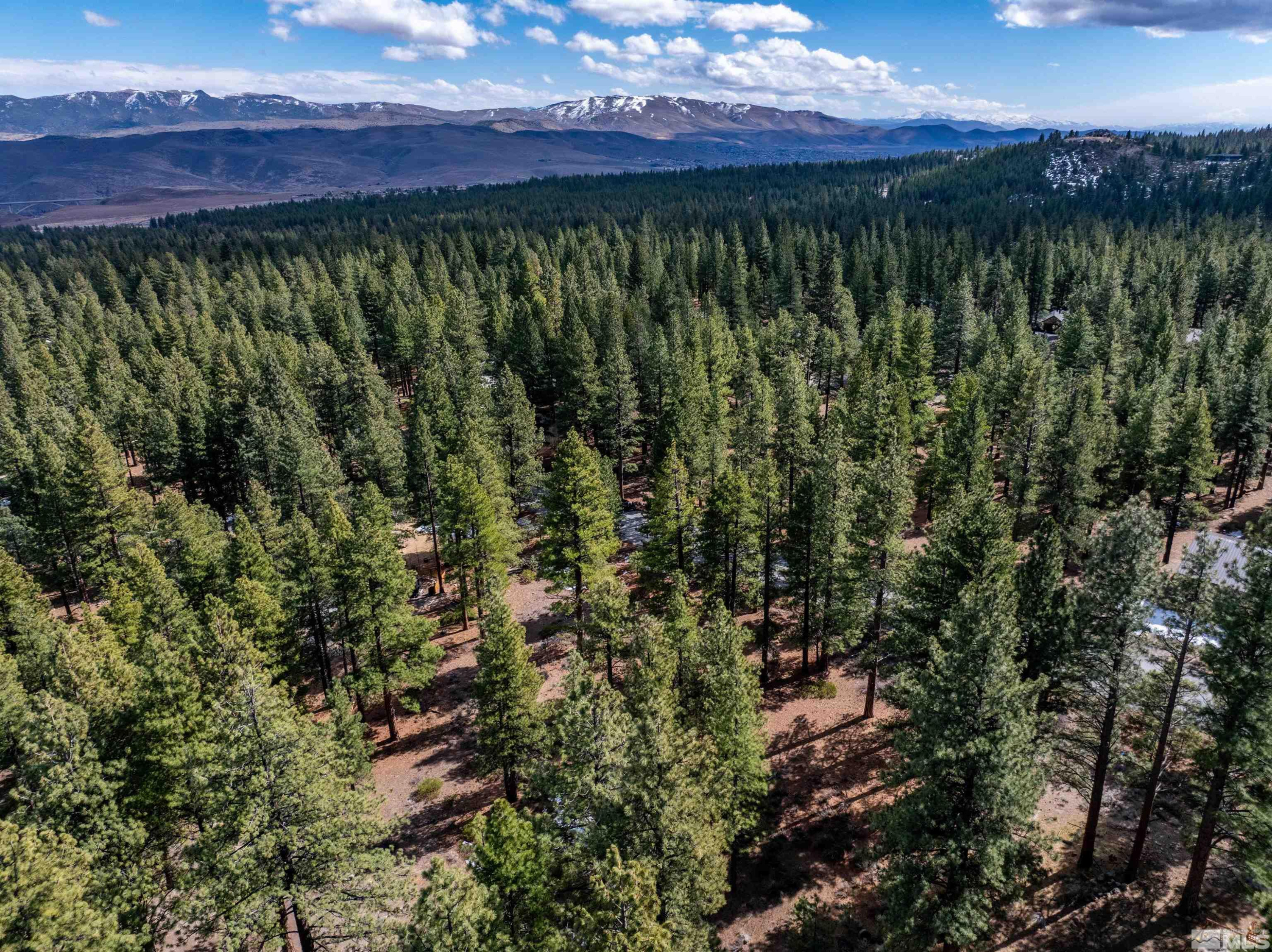 17065 Evergreen Hills Drive