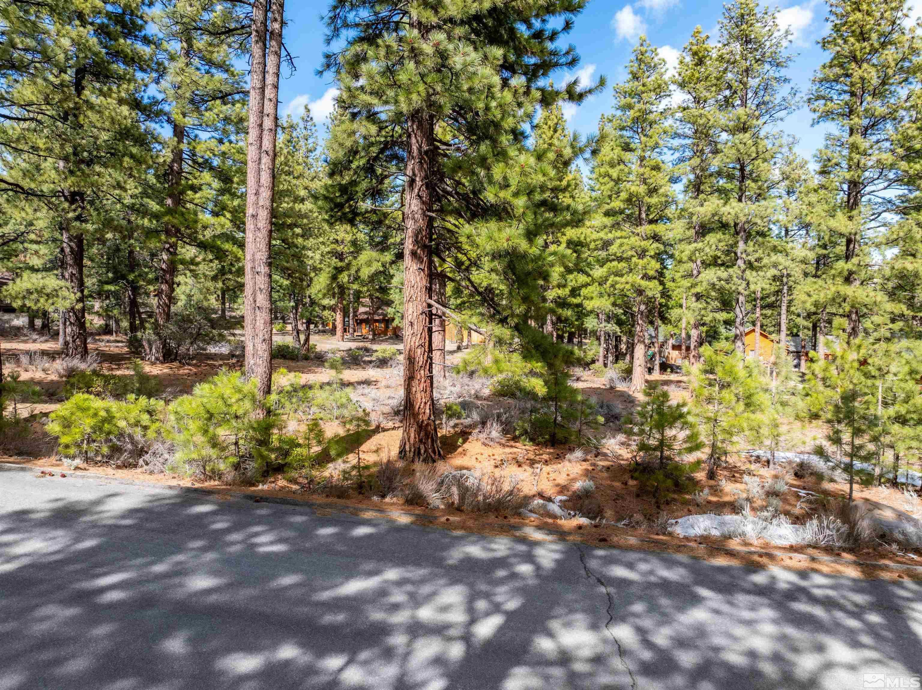 17065 Evergreen Hills Drive