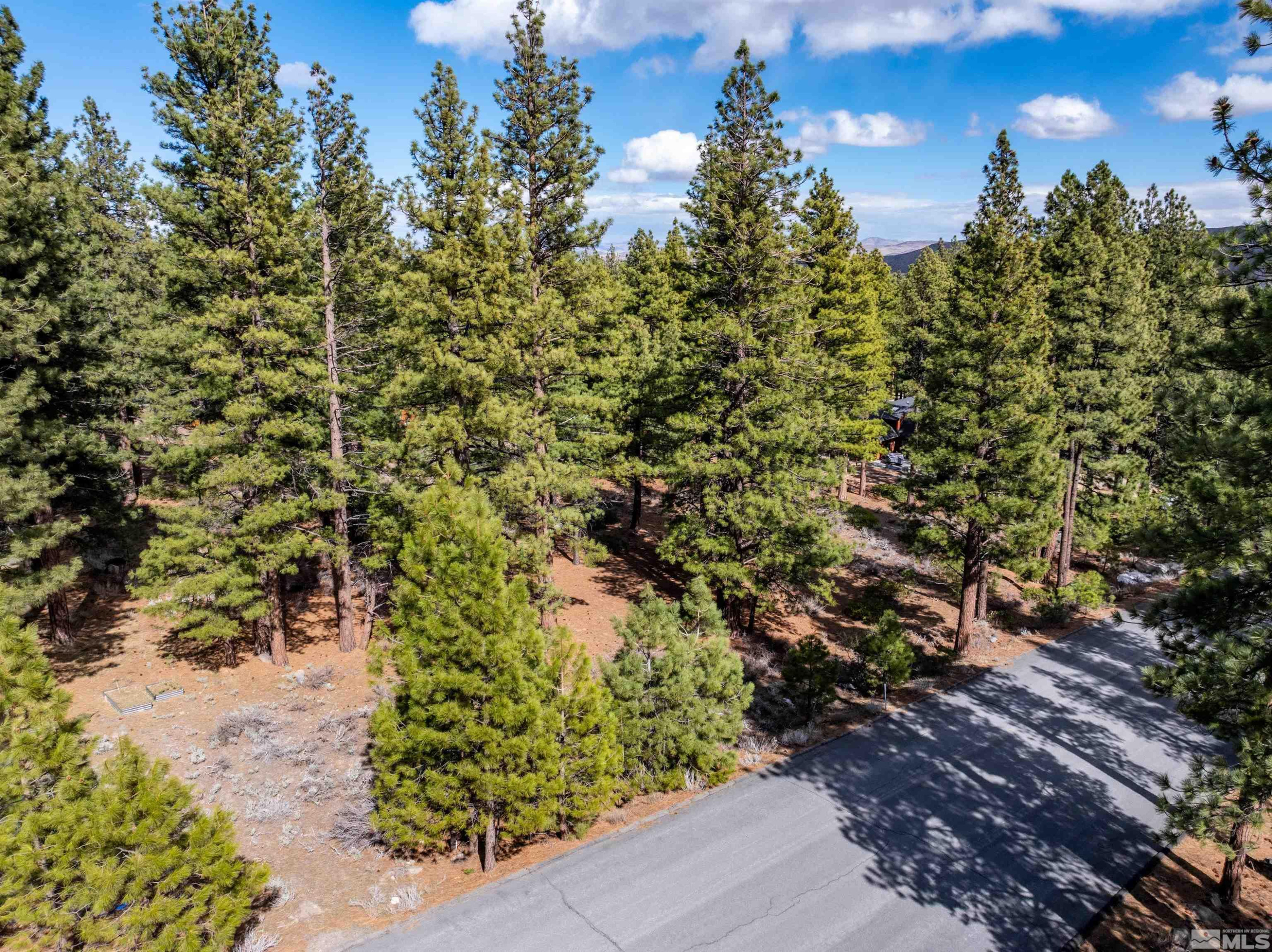 17065 Evergreen Hills Drive