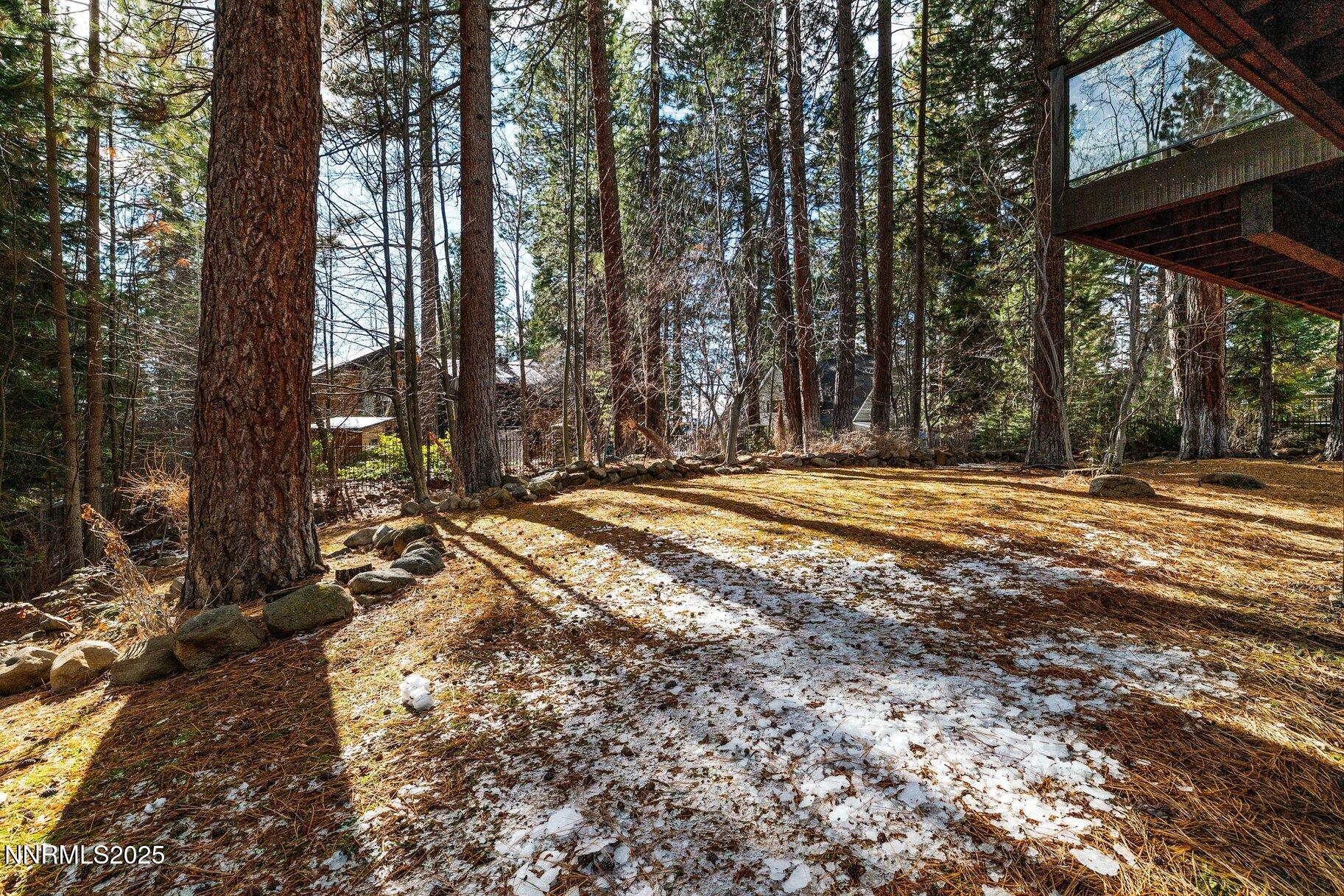 771 Lakeshore Boulevard