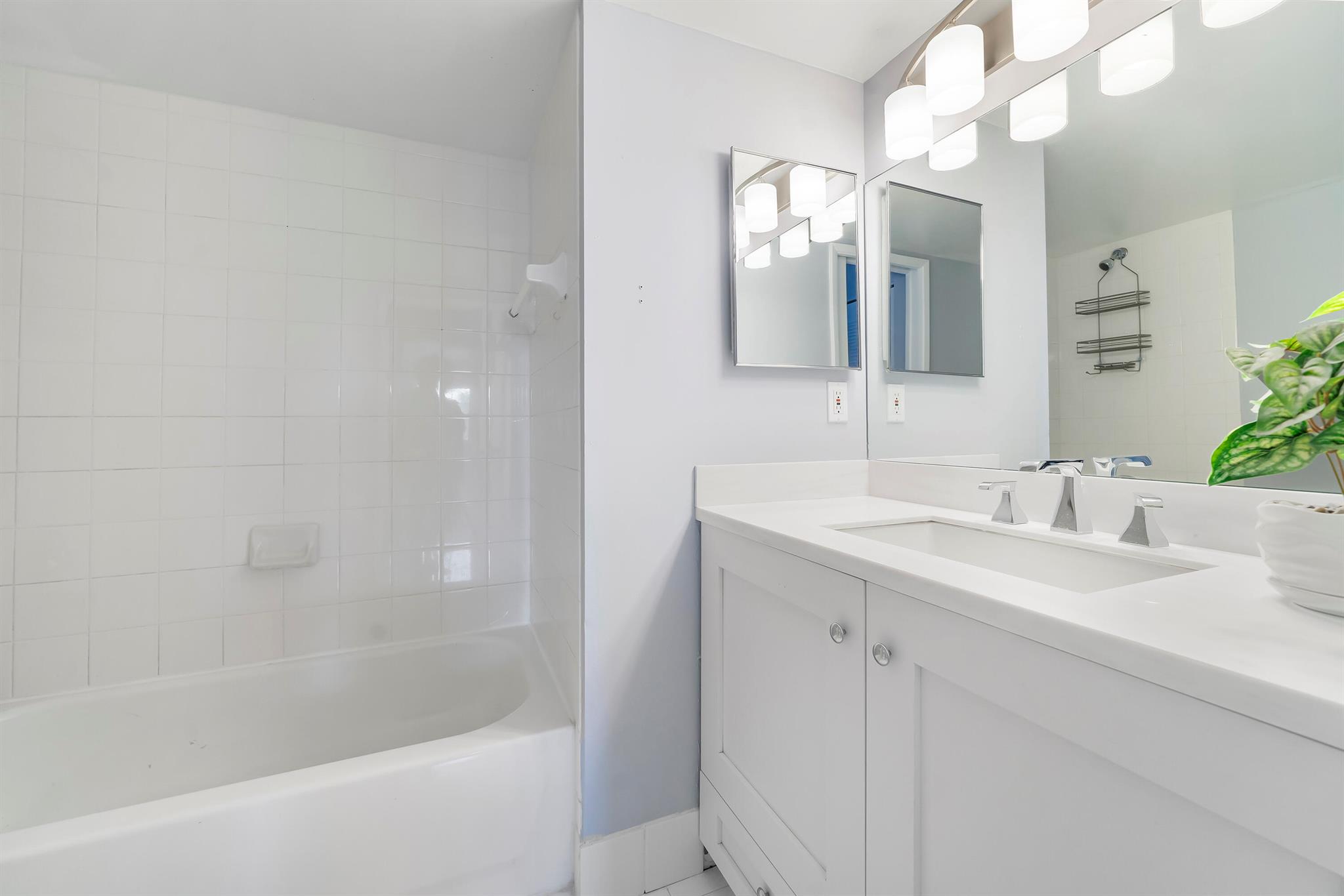 7896 Sonoma Springs Circle 304