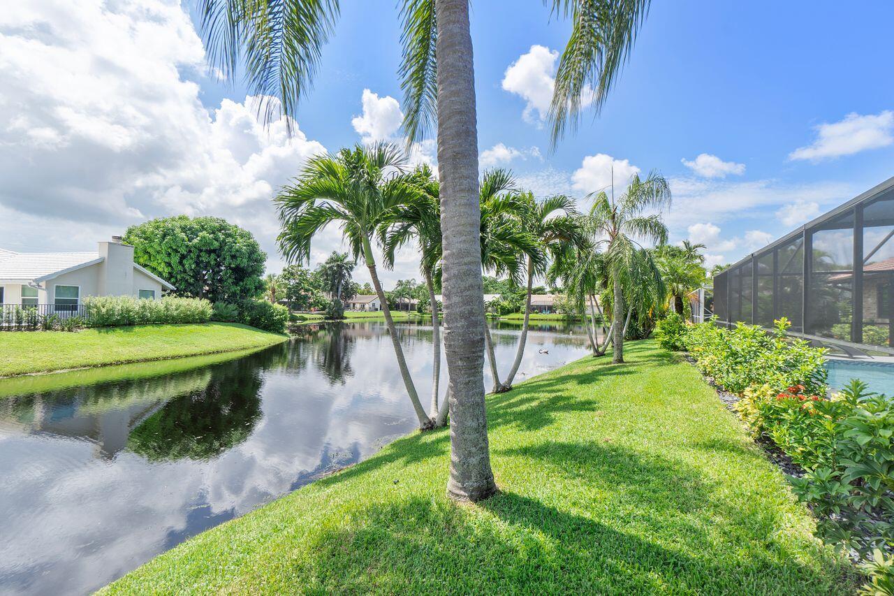 2406 Lob Lolly Lane