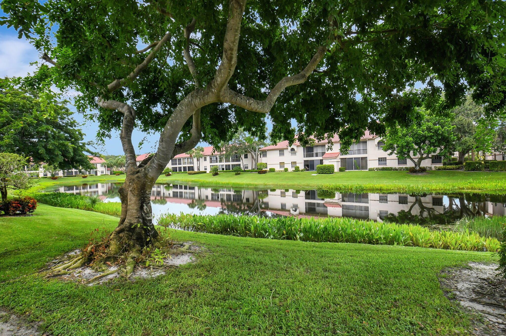5171 Europa Drive G