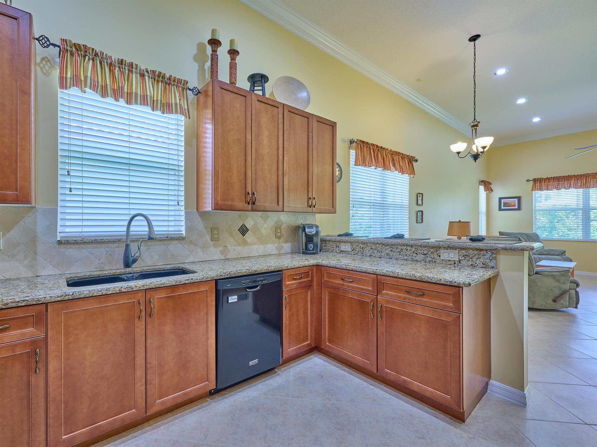 6989 Pisano Drive