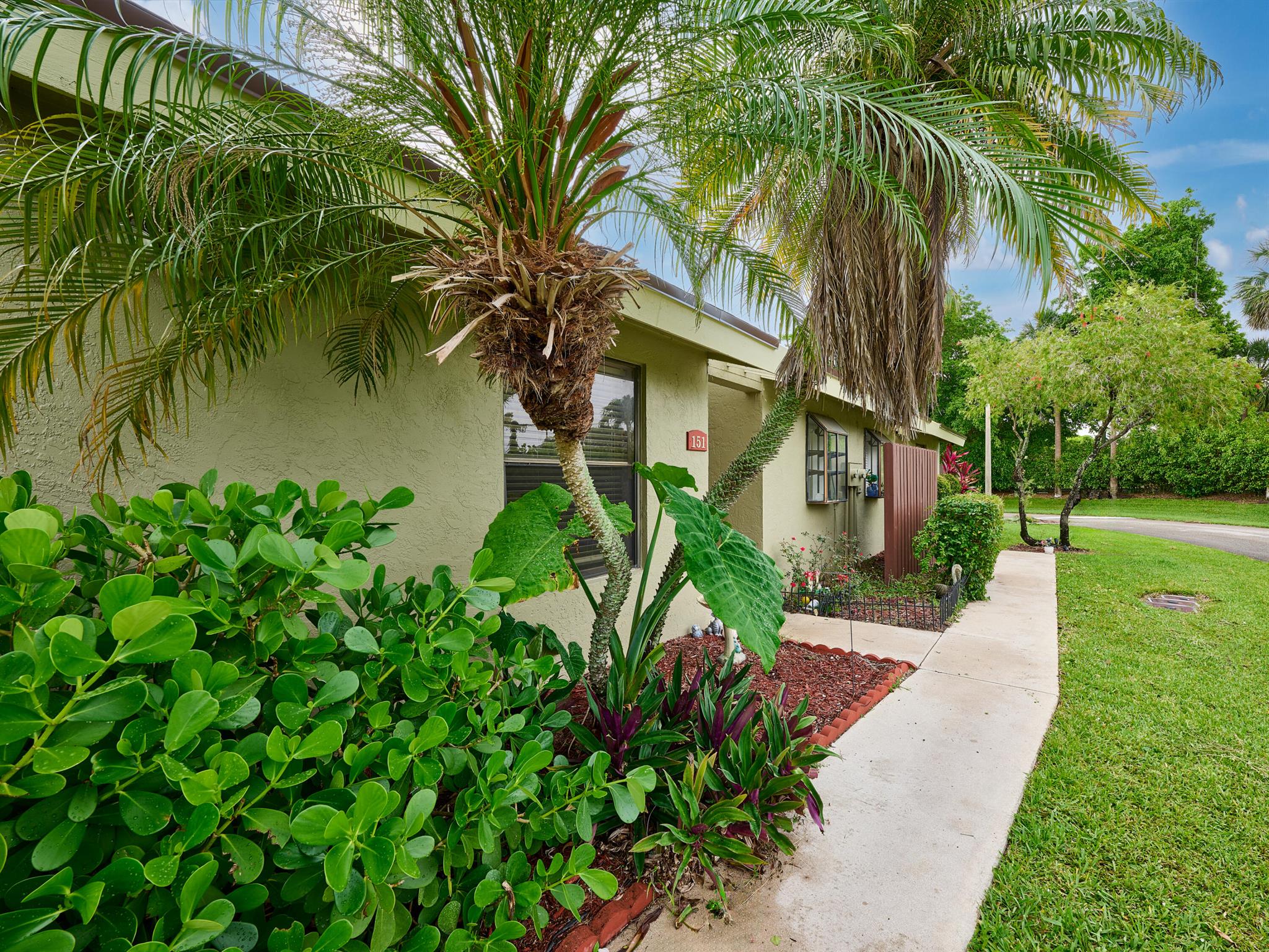 151 Meadows Drive