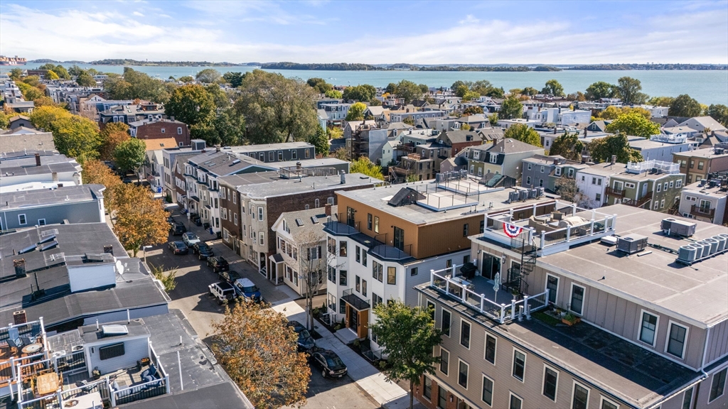 527 East 7th Street # 4