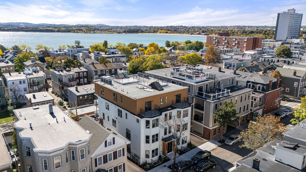 527 East 7th Street # 4