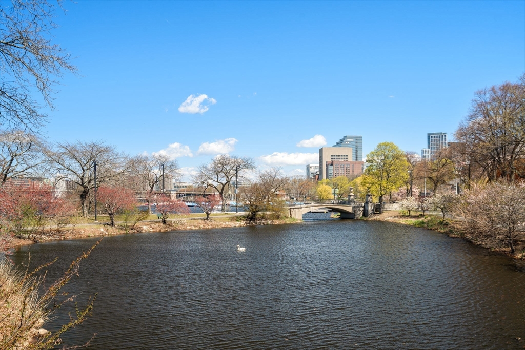 482 Beacon Street # 42