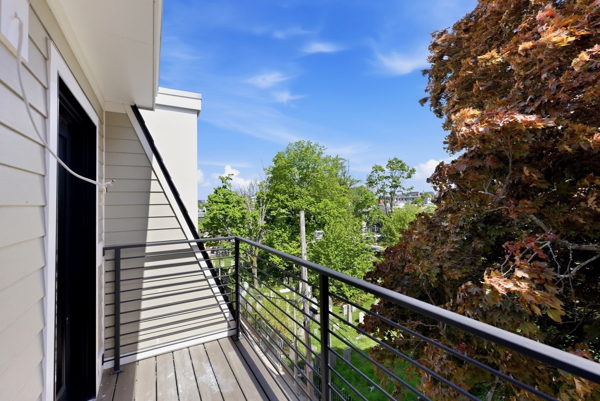 213 Tudor Street # 3