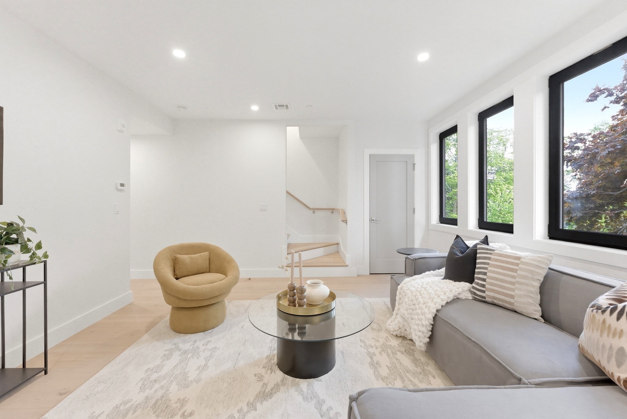 213 Tudor Street # 3