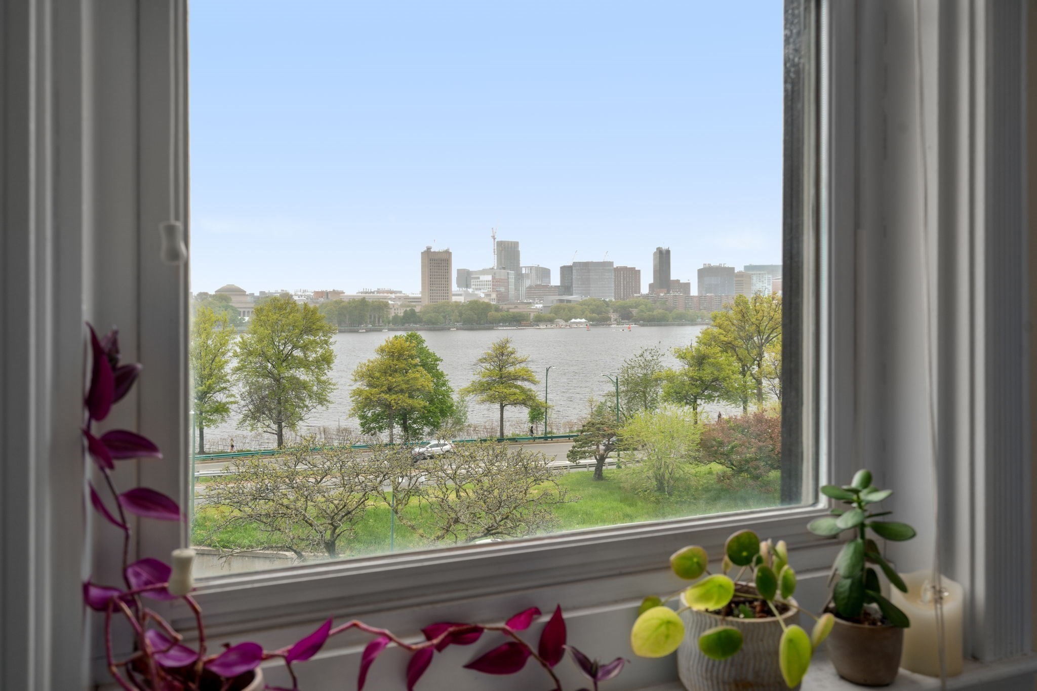 482 Beacon Street # 42