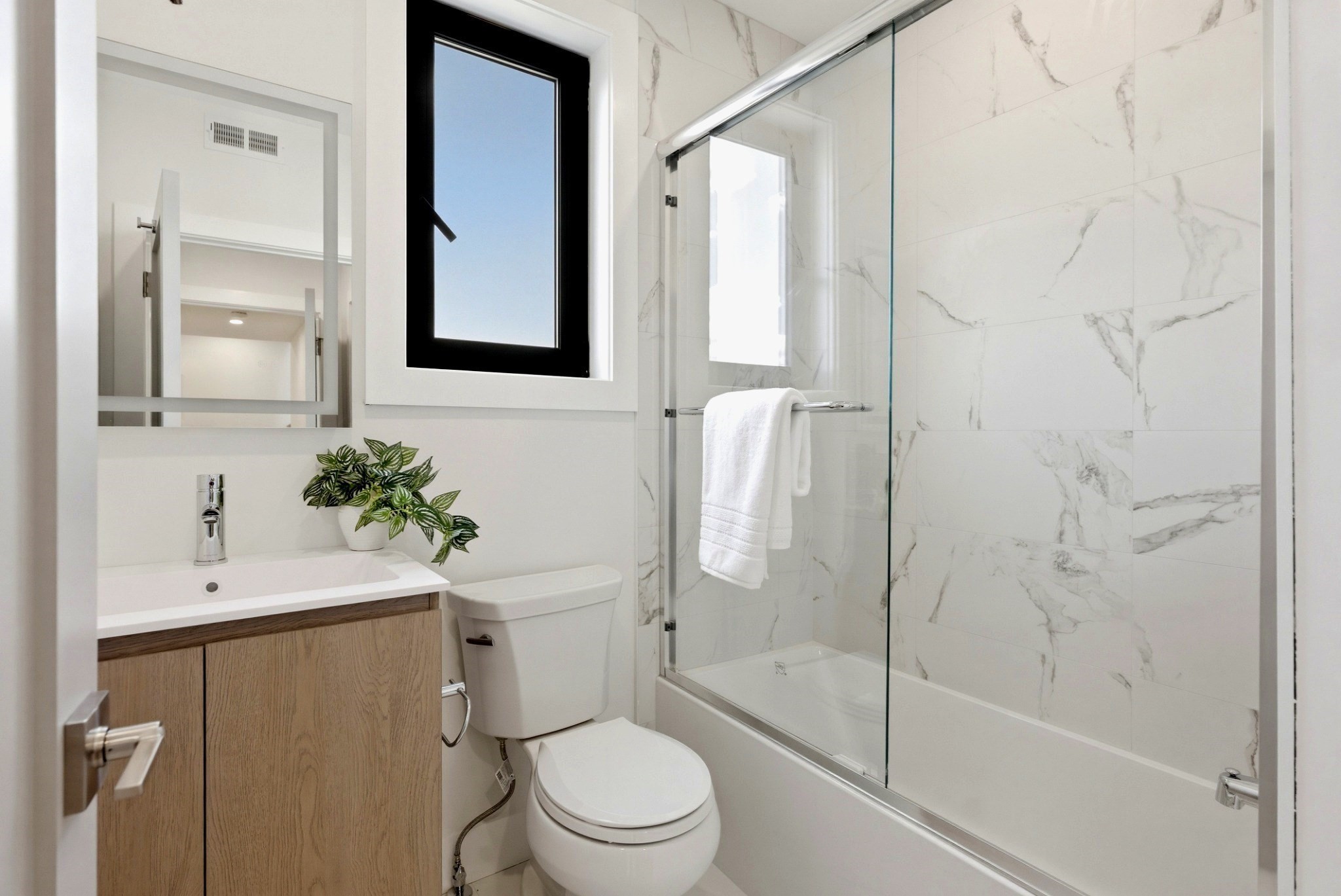209 Tudor Street # 3