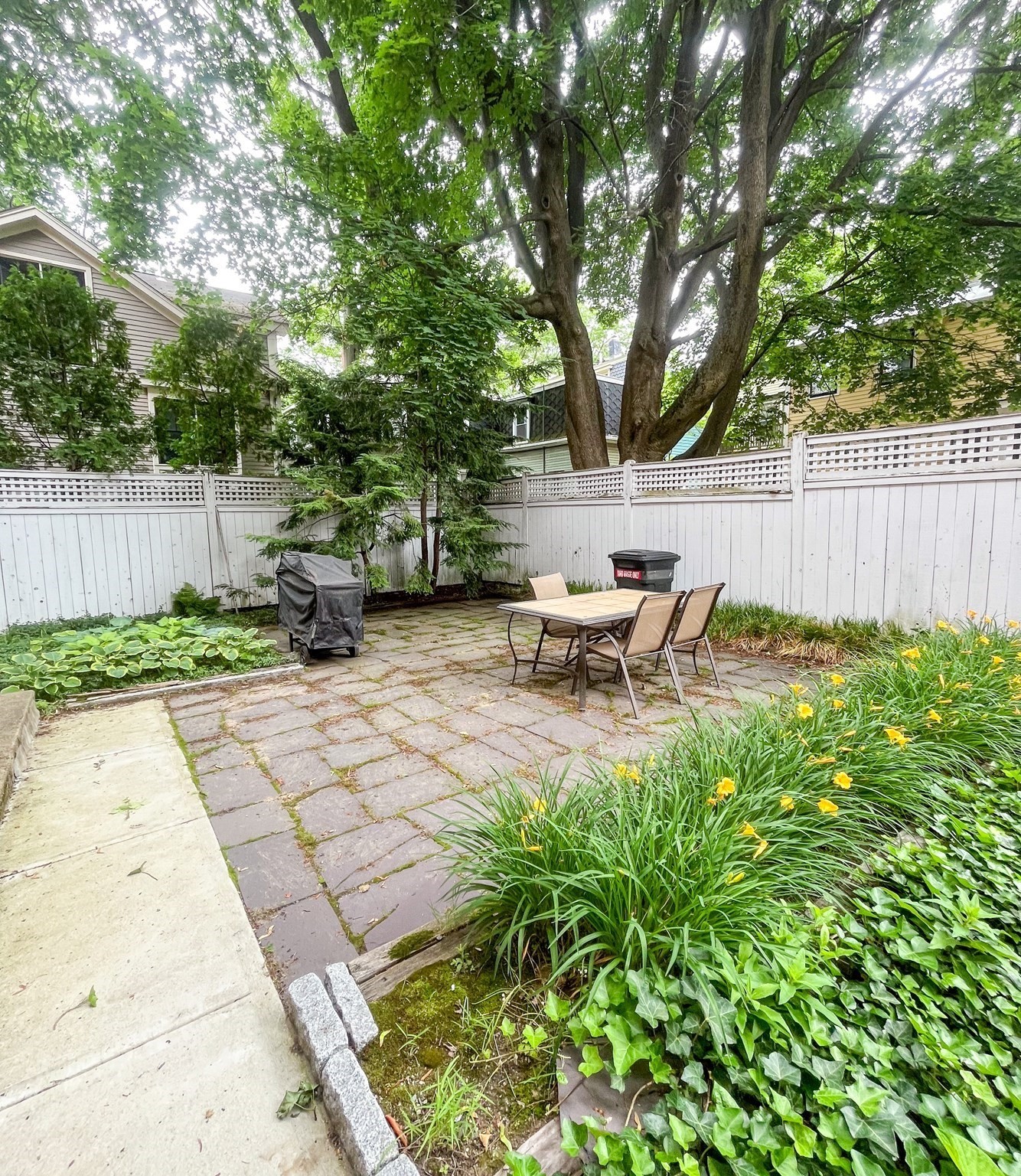 35 William St # 2