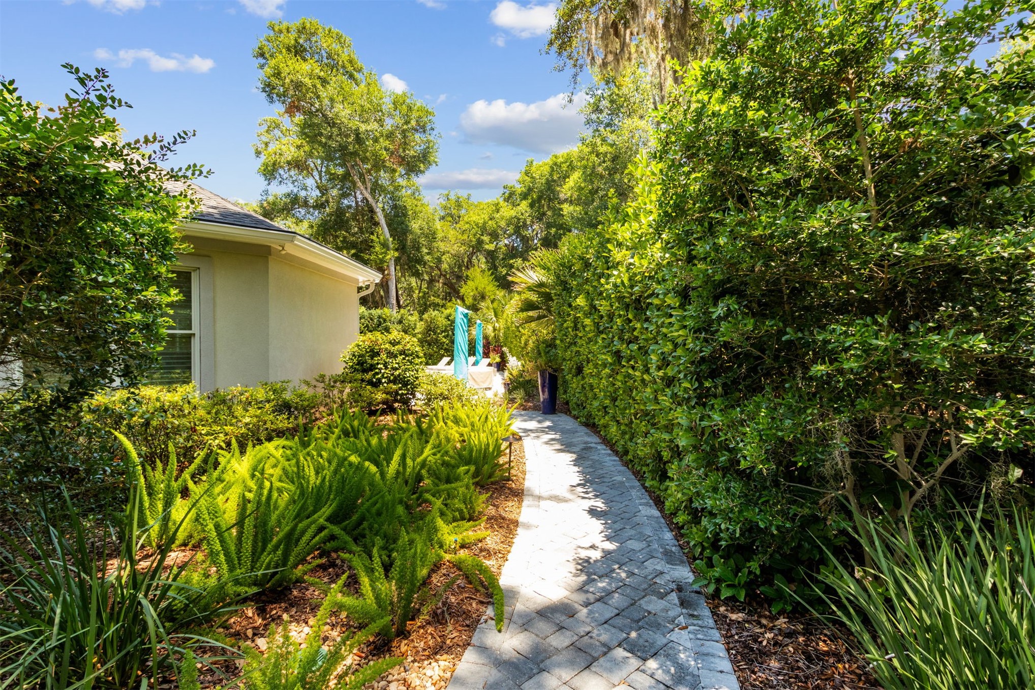 3 WAX MYRTLE
