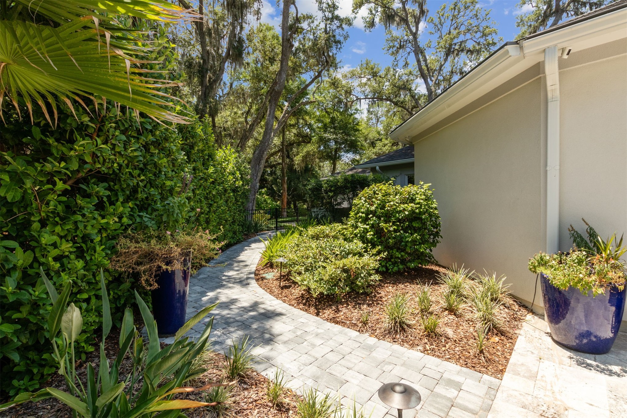 3 WAX MYRTLE