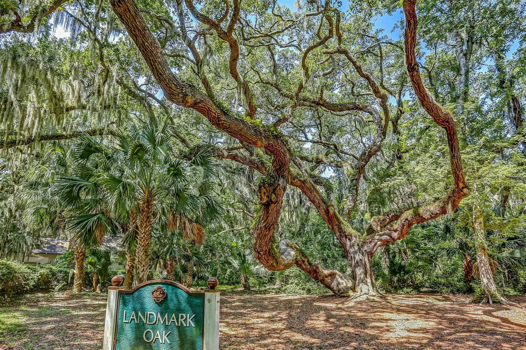 3041 SEA MARSH ROAD 3041