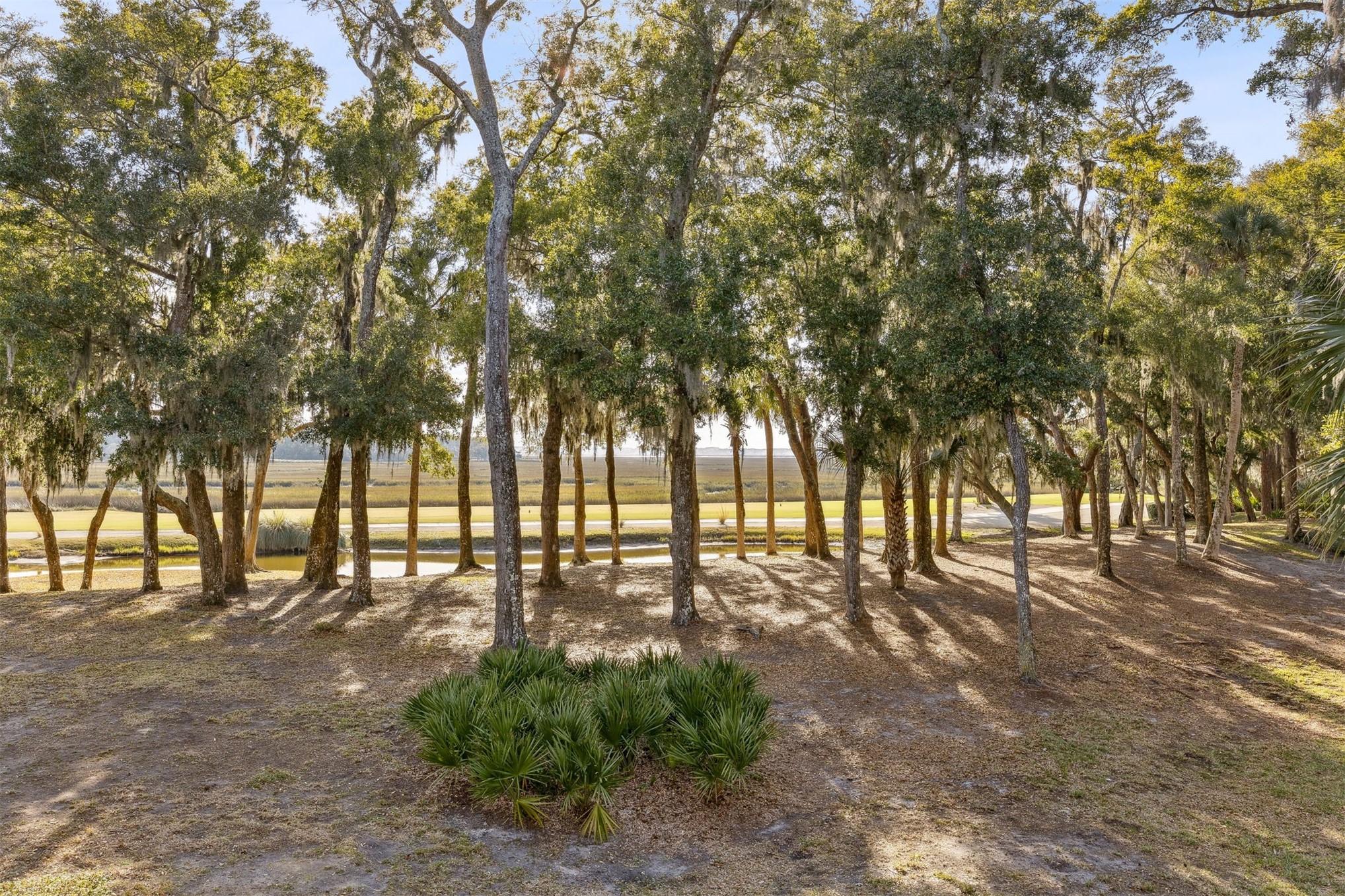 3051 SEA MARSH ROAD 3051