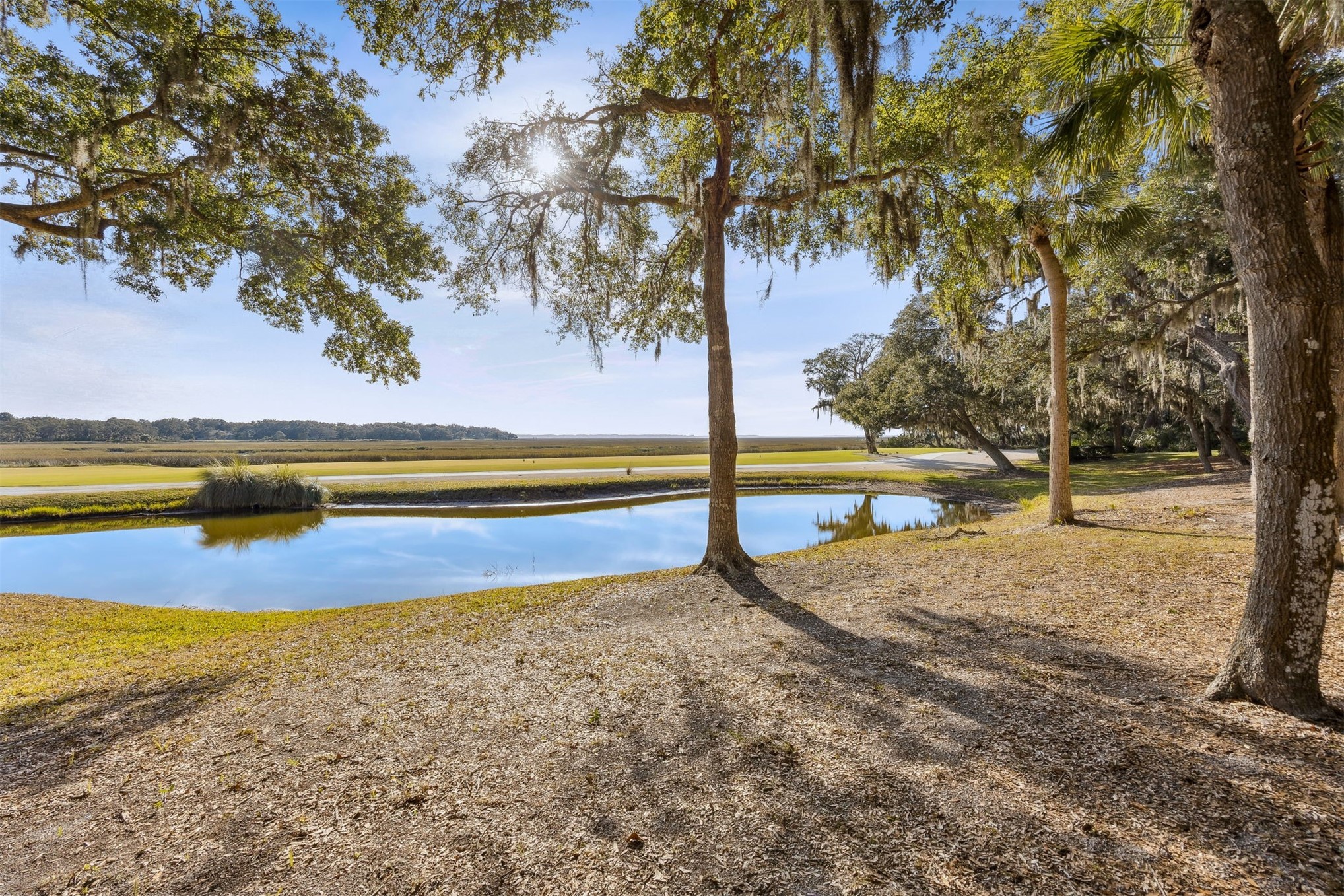 3051 SEA MARSH ROAD 3051