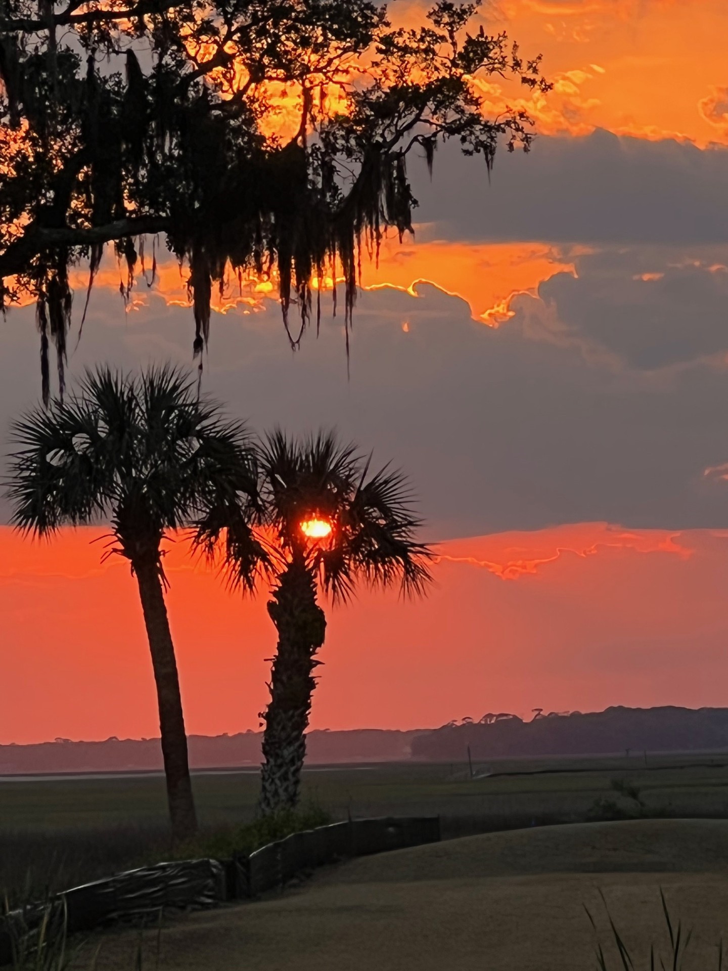 3051 SEA MARSH ROAD 3051