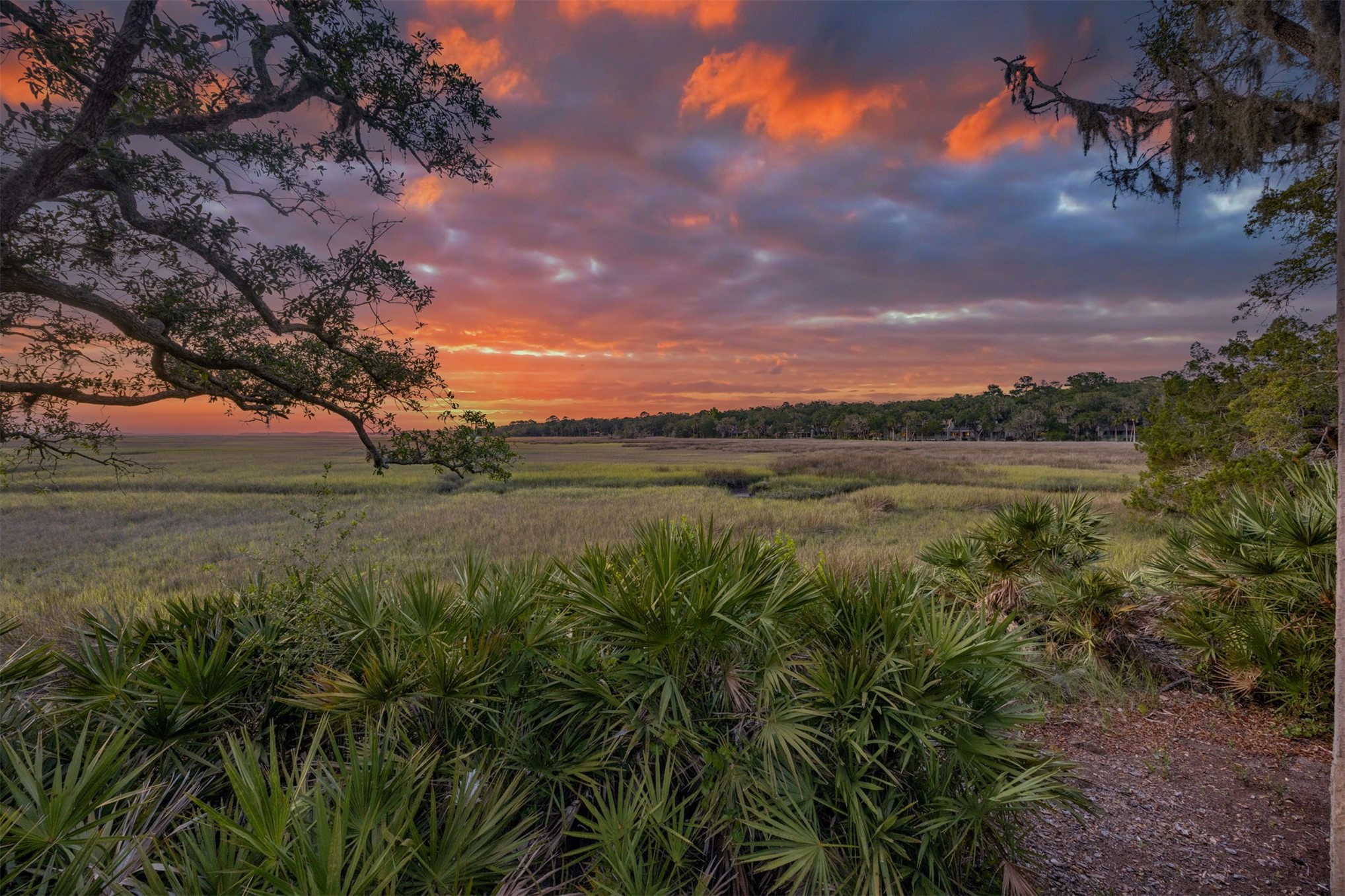 3111 SEA MARSH ROAD
