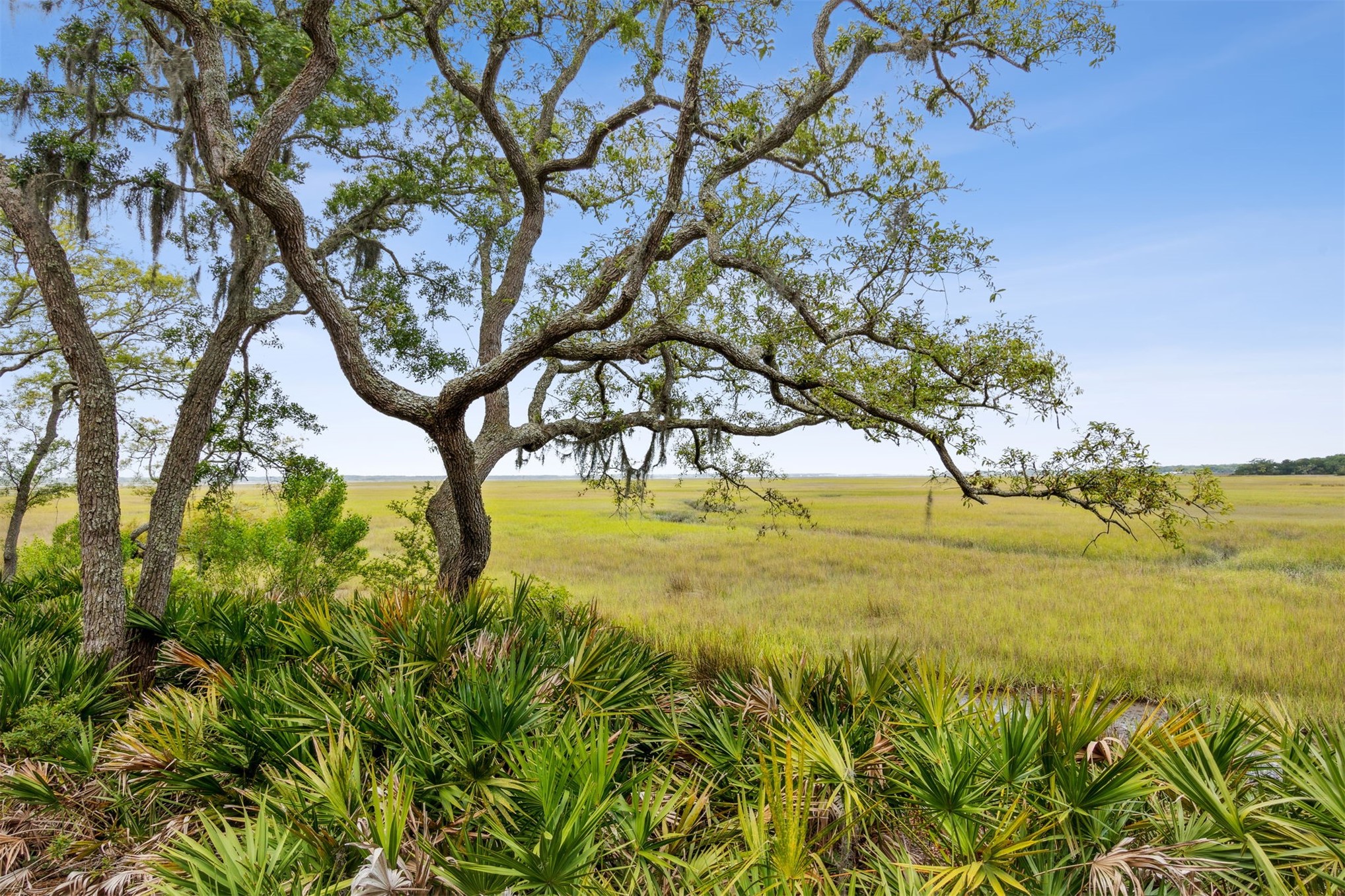 3111 SEA MARSH ROAD