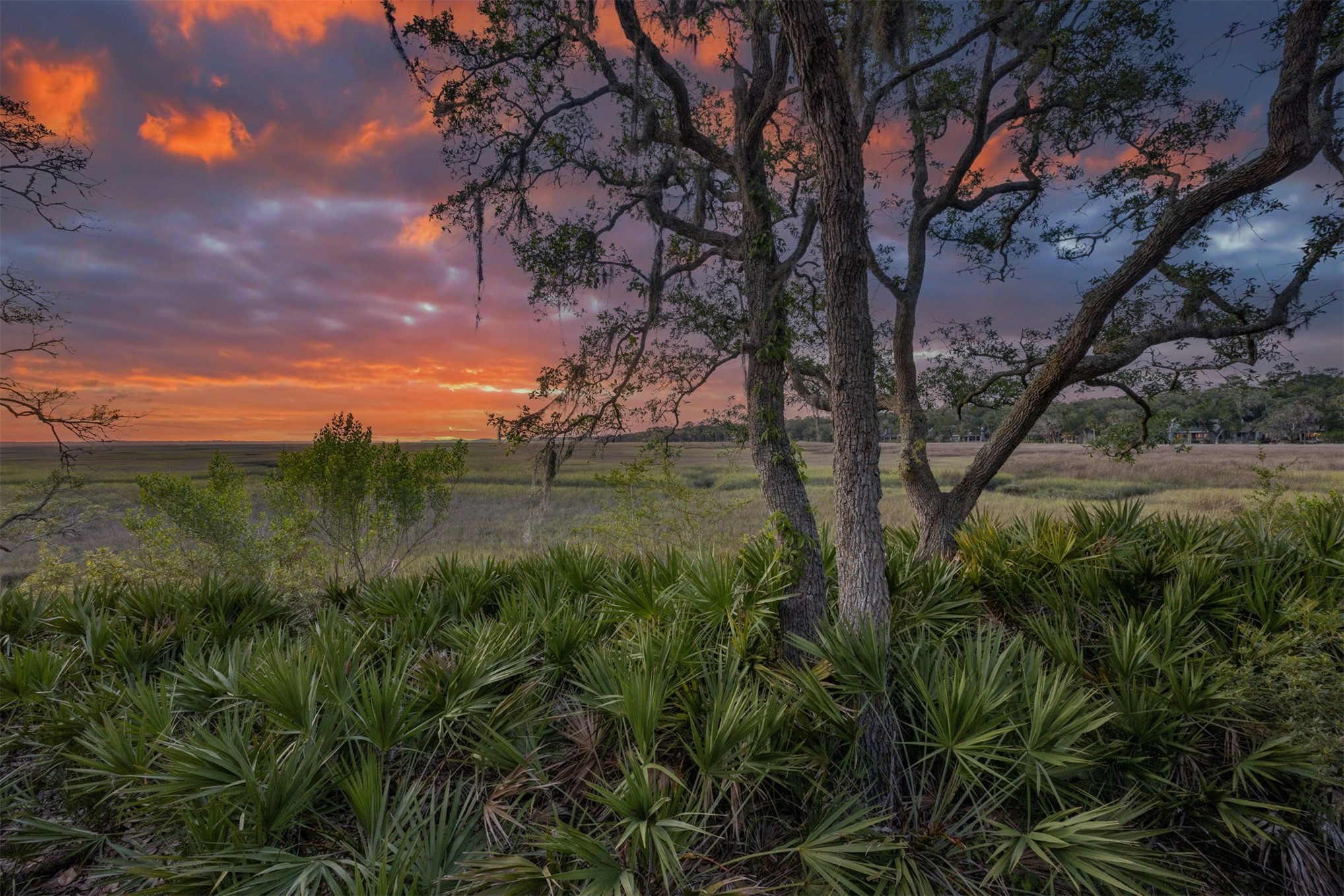 3111 SEA MARSH ROAD