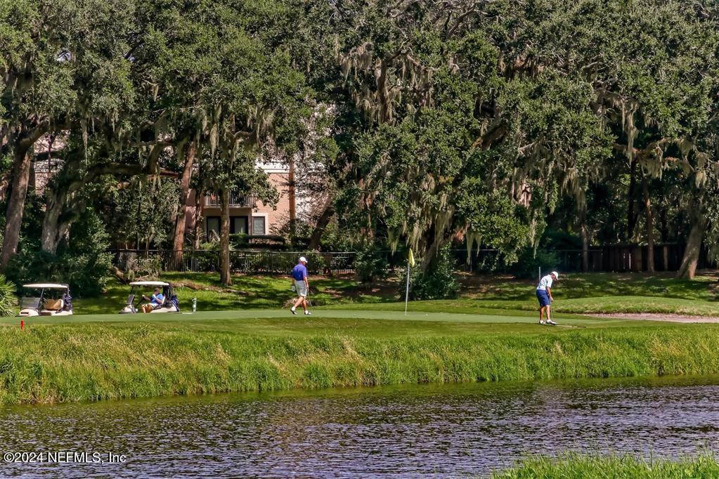 114 SEA MARSH Road