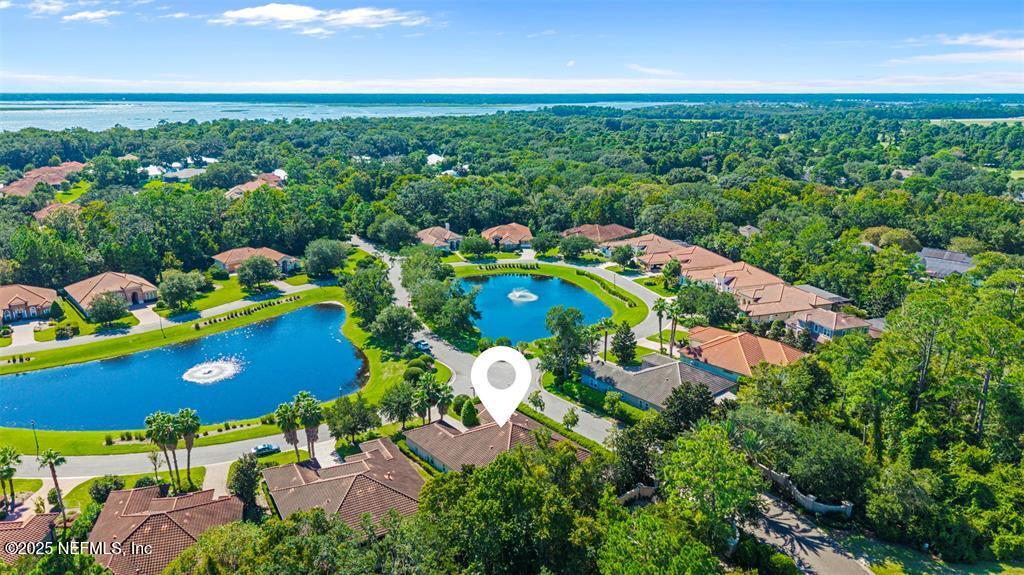 95249 WHISTLING DUCK Circle