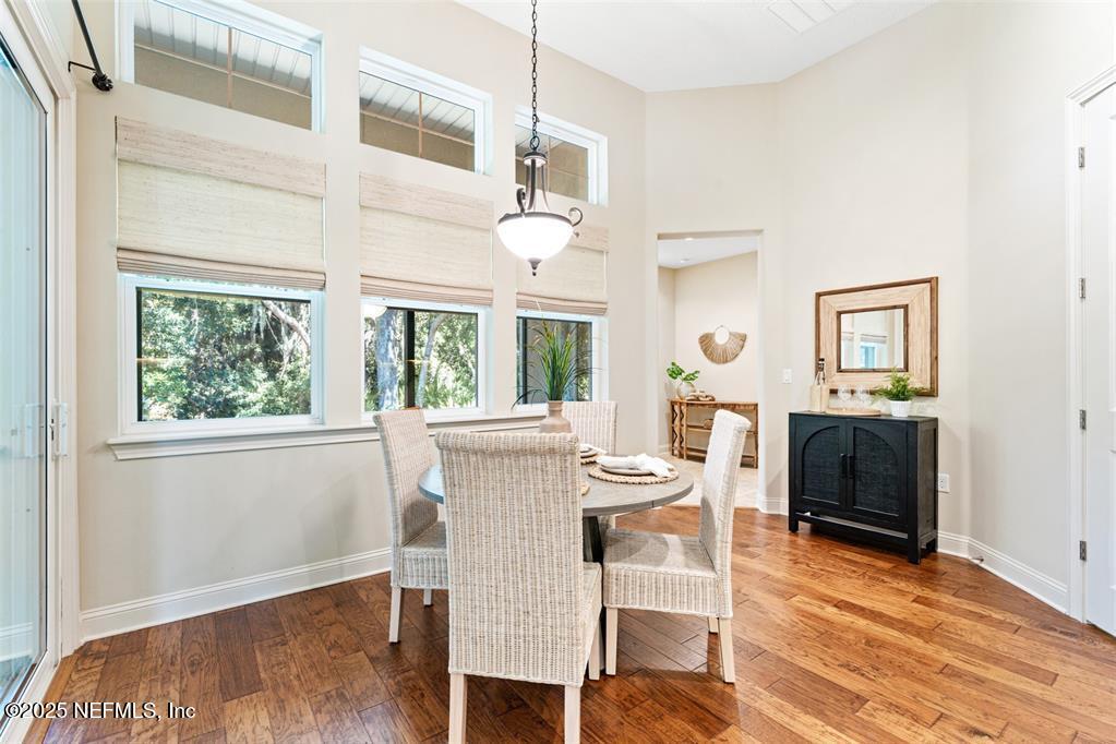 95249 WHISTLING DUCK Circle