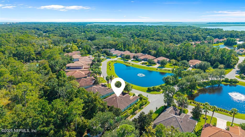 95249 WHISTLING DUCK Circle