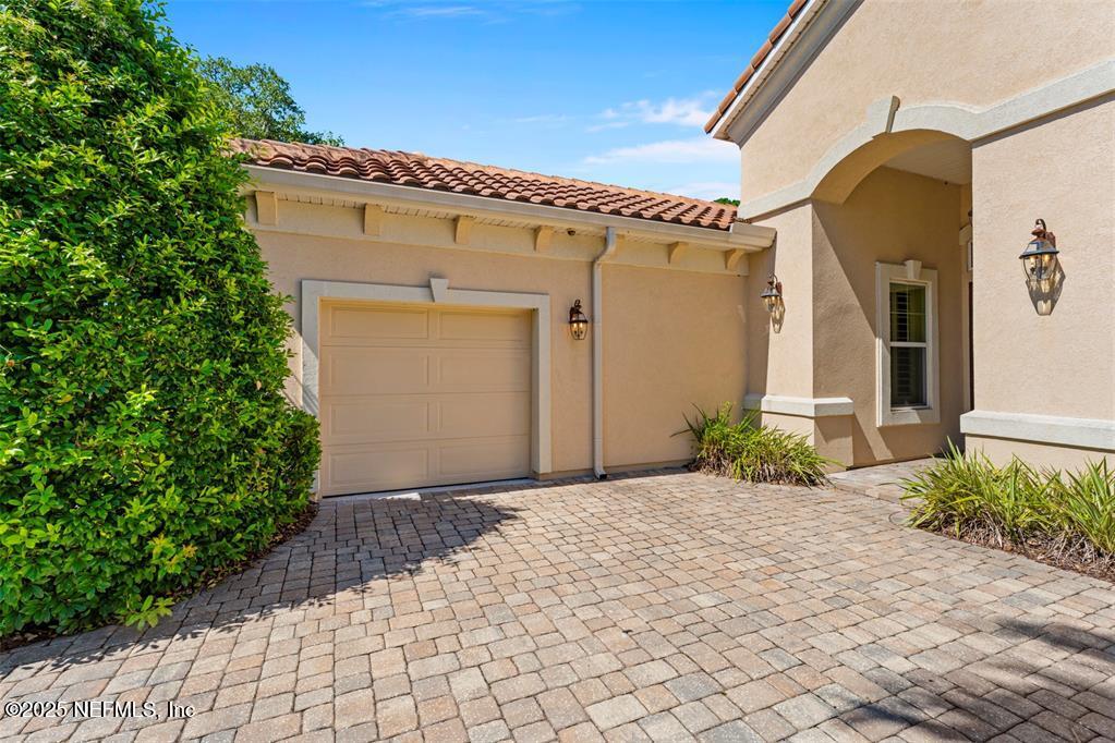 95249 WHISTLING DUCK Circle